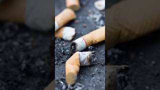 Consecuencias de las colillas de cigarro en las playas basura contaminacion playa youtubeshorts [upl. by Schnur]