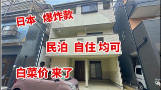 日本爆炸款白菜价一户建投资民宿自住均可 [upl. by Doowrehs749]