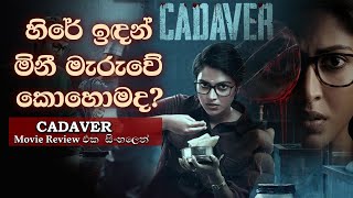 සිව් වසරක මළසිරුරක් හෙළි කරපු අභිරහස  Cadaver Movie Review in Sinhala  Movie Reviews in Sinhala [upl. by Eatnwahs]