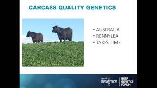 Ceri Lewis Beef genetics management amp passion [upl. by Alyse757]