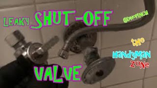 Leaking ShutOff Valve FIX [upl. by Enamrej]