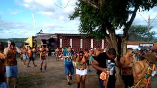 Carreta Treme Treme Forró do Sfrega 2015 [upl. by Hamid677]