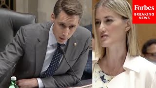 Whose Idea Was It Hawley Grills Biden Official Over Scuttled DHS Disinformation Board [upl. by Imrots]