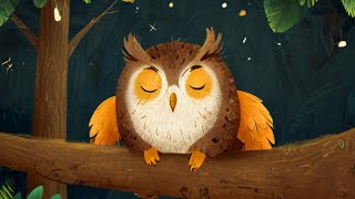 The Most Sleeping Animals🐨 A bed time story for children [upl. by Blaise957]