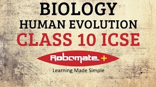 Class 10  ICSE  Biology  Human Evolution [upl. by Alroi479]