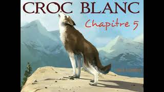 Croc Blanc  Livre Audio 🔈  chapitre 5  La tanière  Jack London [upl. by Eelyma536]