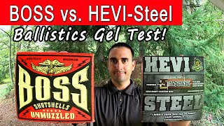 BOSS Bismuth vs HEVIShot Steel Ballistics Gel amp Pattern Test [upl. by Yann467]