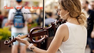 Eine Kleine Nachtmusik  Mozart classic and wise sayings클래식과 명언133 [upl. by Nnalatsyrc]