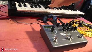 STRYMON TimeLine on KORG MS 20 [upl. by Kaitlyn]