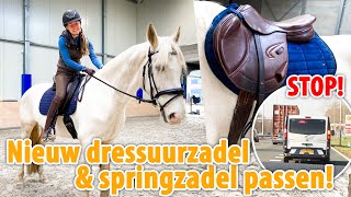 Nieuw dressuurzadel springzadel passen amp STAANDE GEHOUDEN door het NVWA  felinehoi VLOG 534 [upl. by Mirella722]