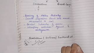 Cerebellum guyton 57 part 1 motor Physiology motor control by cerebellum [upl. by Eahsram]