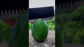 fruit naturallifeb satisfying naturalclips naturelife fruitcutting jackfruit food plantsyt [upl. by Anitahs130]