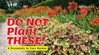 🚫 DO NOT Plant THESE 6 Perennials in Your Garden 🌸  Gardening Tips [upl. by Nnylecoj]