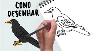 Como Desenhar um PÁSSARO CORVO  How to Draw a Crow Black Bird [upl. by Omari225]