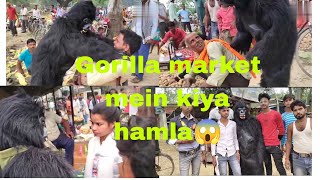 Gorilla ne kiya market mein hamlaviralvideo 😱 [upl. by Sukramaj]