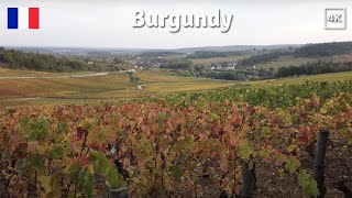 France BURGUNDY 🇫🇷 Mercurey  Vineyards Les Puillets  Bourgogne France [upl. by Bueschel]