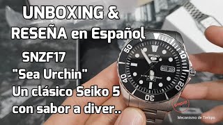 Seiko Sea Urchin SNZF17 un clásico Seiko 5 con sabor a Diver Unboxing amp Reseña en Español [upl. by Emerson440]