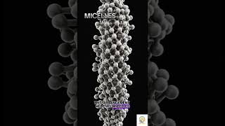 Micelles Definition By Prof Ashish Baldi Micelles drugdelivery [upl. by Gabey]