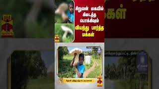 சிறுவன் கையில் கிடைத்த பொக்கிஷம்  வியந்து பார்த்த மக்கள் [upl. by Hawkins]