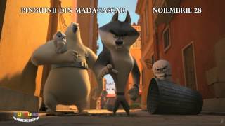 Penguins of Madagascar VIRAL VIDEO  Meet Private 2014  Animated Movie HD [upl. by Anilegnave346]