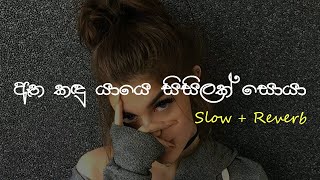 Oya Muwe Hasarel ඔය මුවේ හසරැල්  Slow  Reverb supunzstudio [upl. by Ellehsal]