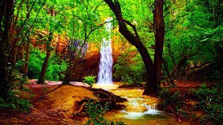 Relaxing Zen Music and Nature Sounds  Wooden Flute and Pan Flute  Meditation Sleep Sound [upl. by Parette473]