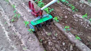 Easy Make Inter cultivator for vegetable and weed control [upl. by Adnalu35]