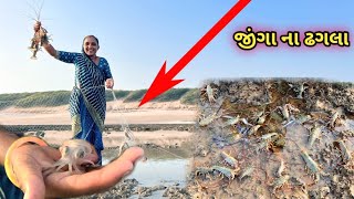 ટાપુ કરતા અમારા દરીયા મા જીંગા લાટ પકડયા 🦞Lobster 🦞dariyai khedut [upl. by Jeannie]