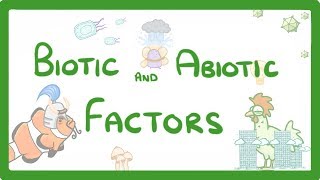 GCSE Biology  Biotic and Abiotic Factors 83 [upl. by Htidirrem]