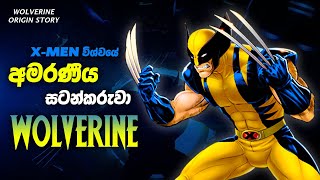 වුල්වරීන් ගැන මේ දේවල් දන්නවද  Wolverine Origin Sinhala Review [upl. by Bernelle810]