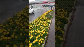 Kunming rainy days amazingchina kunming travel foodie railwaystation [upl. by Nenerb]