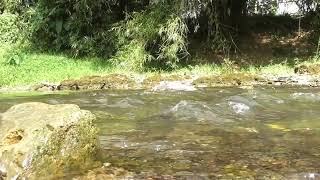 SATISFYING WATER STREAMING SOUND RELAXING MIND AND SOUL PURE RIVER WATER SOUND watersounds [upl. by Dowell]