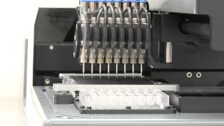 Meridian automated accurate liquid dispensing system [upl. by Anotal]