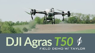 DJI Agras T50 Full Spraying Demo  DJI Agras T50  Agri Spray Drones [upl. by Anileba]