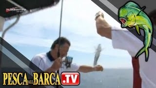 Come pescare a light drifting le tanute 1di2  Pesca dalla barca TV [upl. by Enidualc]