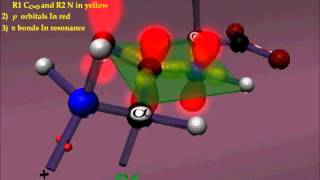 Peptide bond [upl. by Zolly]