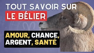 TOUT SAVOIR SUR LES SIGNES BÉLIER [upl. by Siouxie]