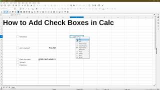 How to Add and Use a Checkbox in LibreOffice Calc [upl. by Vivianna]