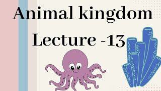 Hemichordata  Animal kingdom Lecture  13 [upl. by Yhtir960]