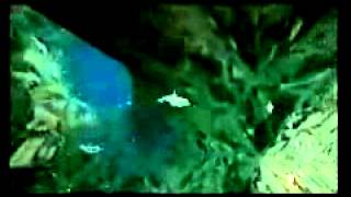 Ecco the Dolphin Sega Dreamcast  Retro Video Game Commercial  Ad [upl. by Aniluj491]