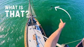 Restoring our sailboats RIGGING Backstay fix amp Mast varnish with FPV Footage — Sailing Yabá 214 [upl. by Alor410]