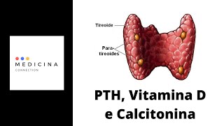 Fisiologia  Paratormônio PTH Vitamina D e Calcitonina [upl. by Cinda]