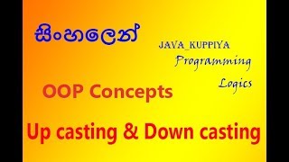 JavaUpcastingampDowncasting [upl. by Doyle]