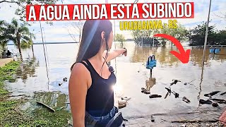 ASSIM ESTÁ A SITUAÇÃO na CIDADE ONDE ESTAMOS no RIO GRANDE DO SUL Uruguaiana está Alagando [upl. by Hutson44]