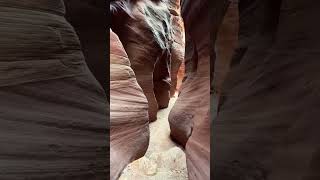 Wire Pass Trail  Kanab Utah travel exploreutah hiking slotcanyon hikingadventures [upl. by Hsaka202]