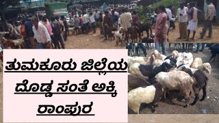 tele documenary akki rampura sheep and goats market AGRIANIMALS [upl. by Standice804]