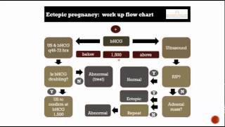 obstetrics 4 ectopic pregnancy [upl. by Ulrikaumeko]