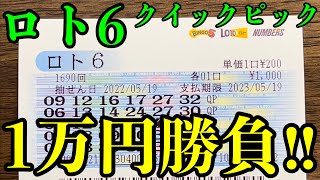 ロト６の数字をクイックピックで１万円分選べば、いくら当たるのか？【ロト６検証】 [upl. by Beshore]