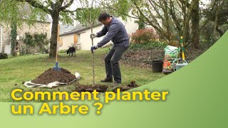 Comment planter un Arbre [upl. by Arabel304]