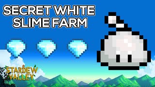 First Ever RARE White Slime Farm  SECRETS of Stardew Valley [upl. by Oralla]